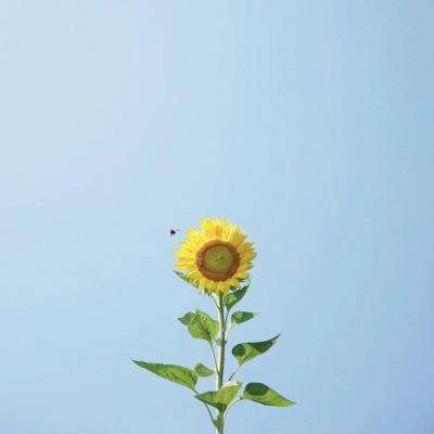虚荣全明星手游下载最新版